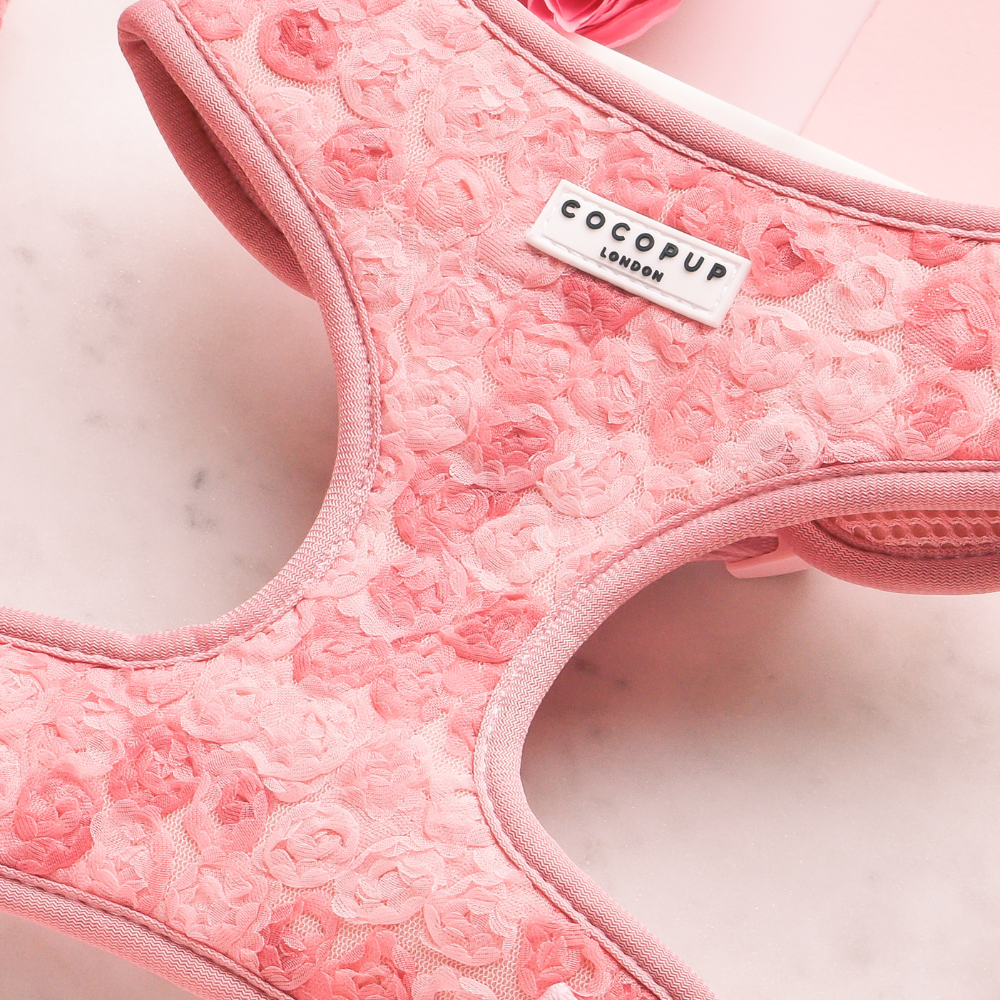 Harnais réglable pour cou Peony Pup: M
