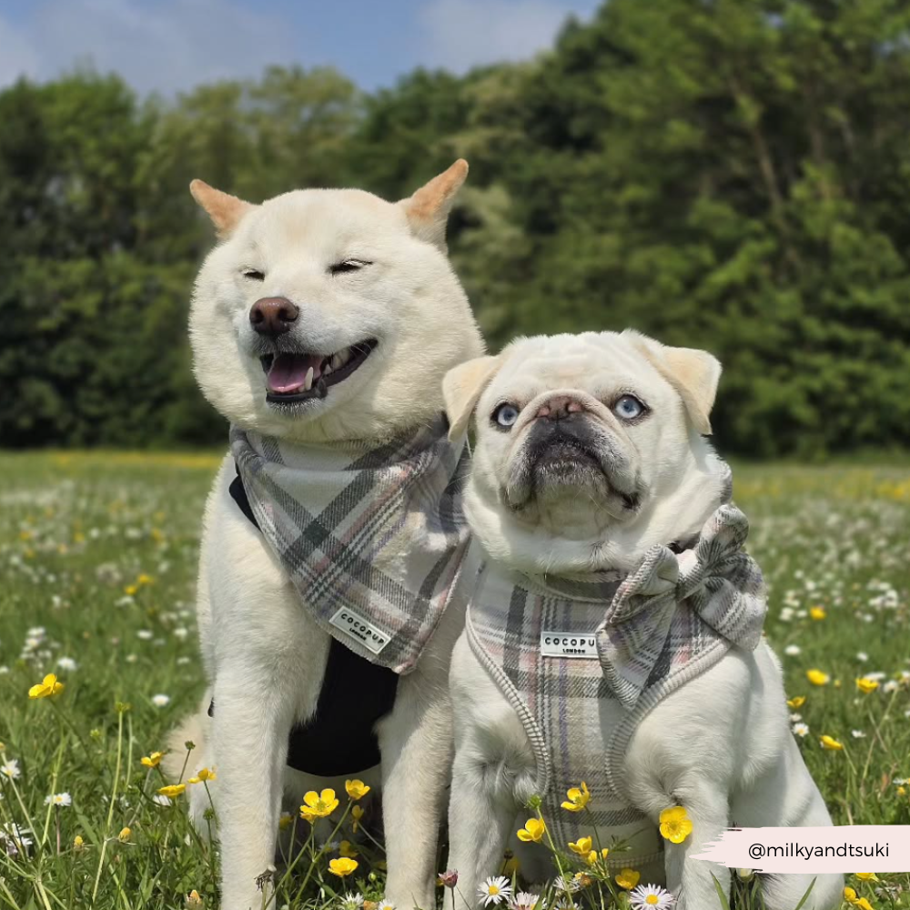 Bandana de primavera a cuadros
