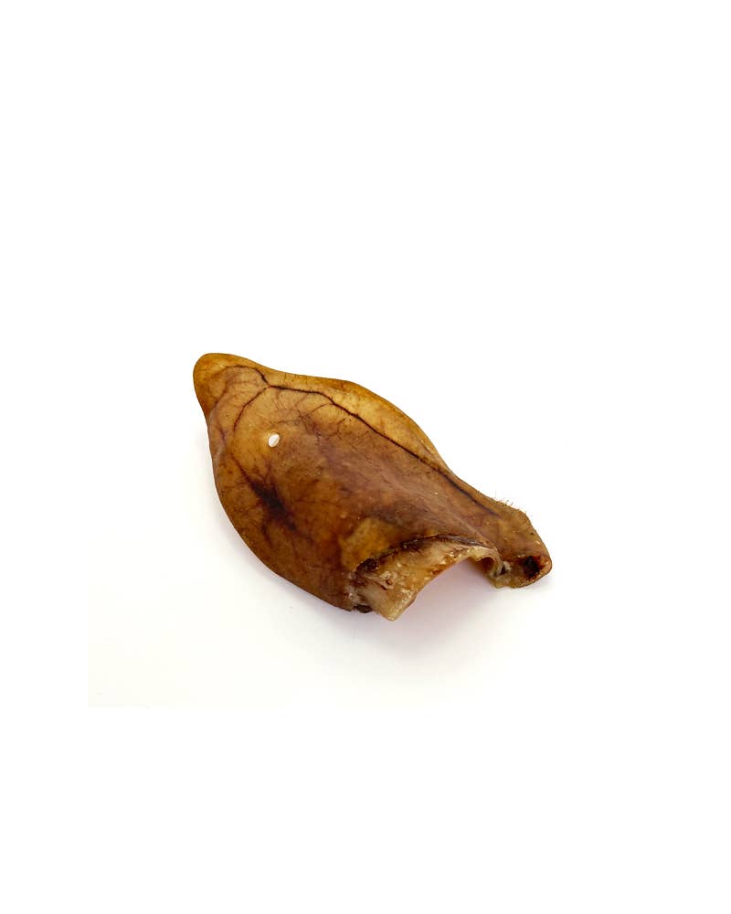 Oreille de porc ibérique - Snack naturel pour chiens