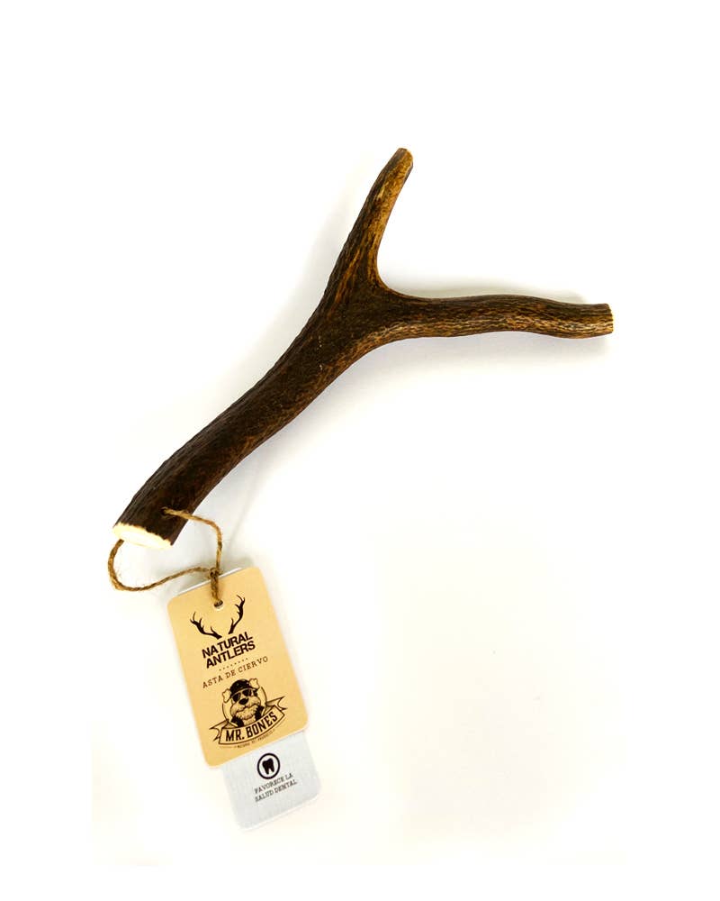 Bois de cerf M (76 - 150g) - Jouet à mâcher naturel pour chiens