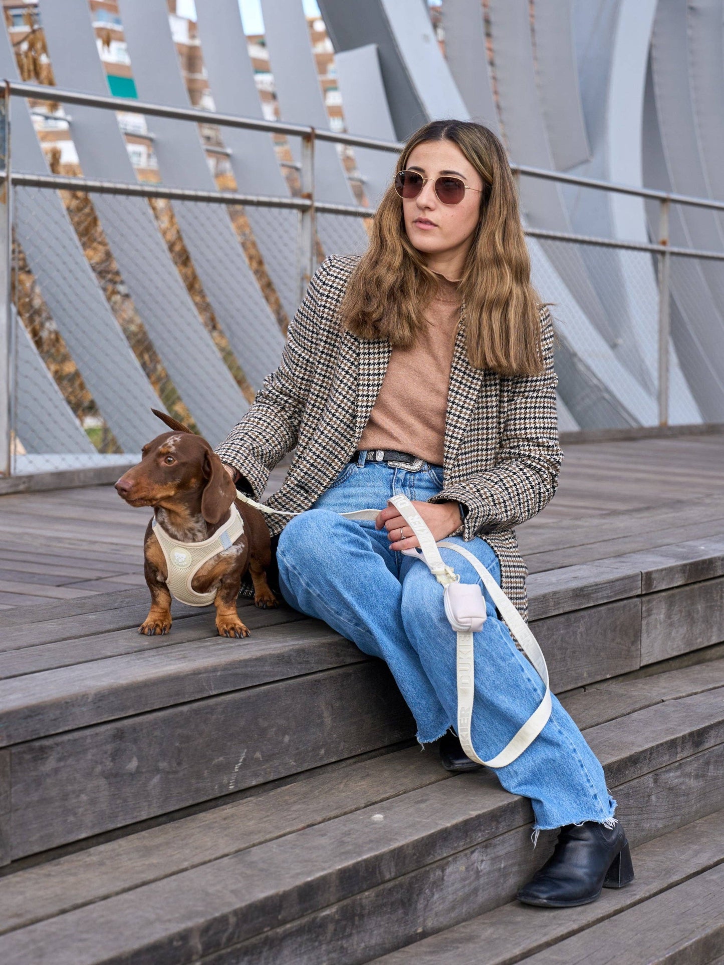 HARNAIS BODY CHIEN BEIGE: L