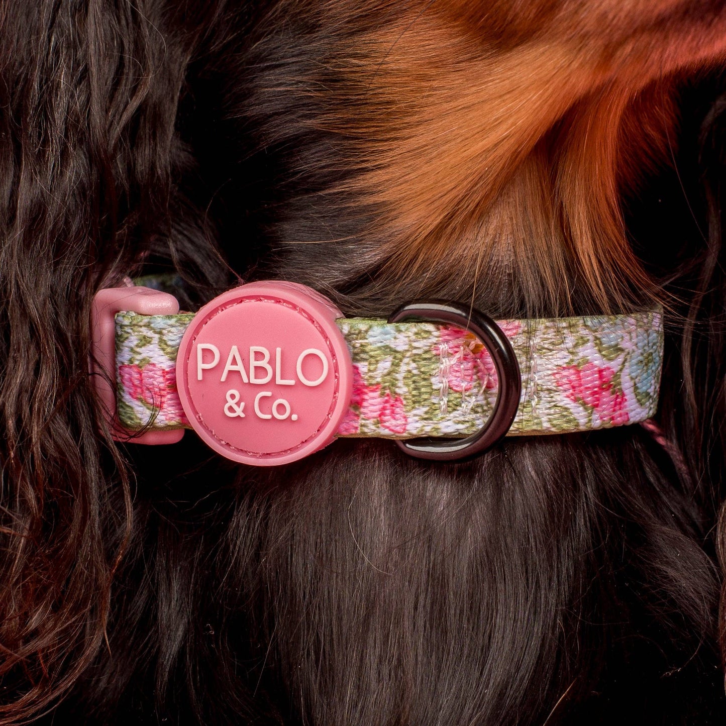 Flora & Fern : Collier pour chien