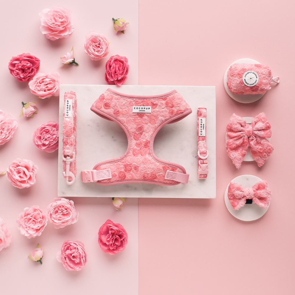 Plomb pour chiot pivoine