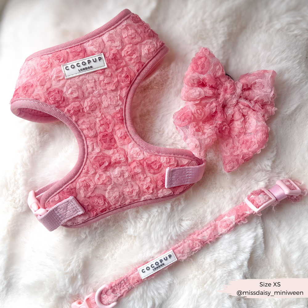 Harnais réglable pour cou Peony Pup: M