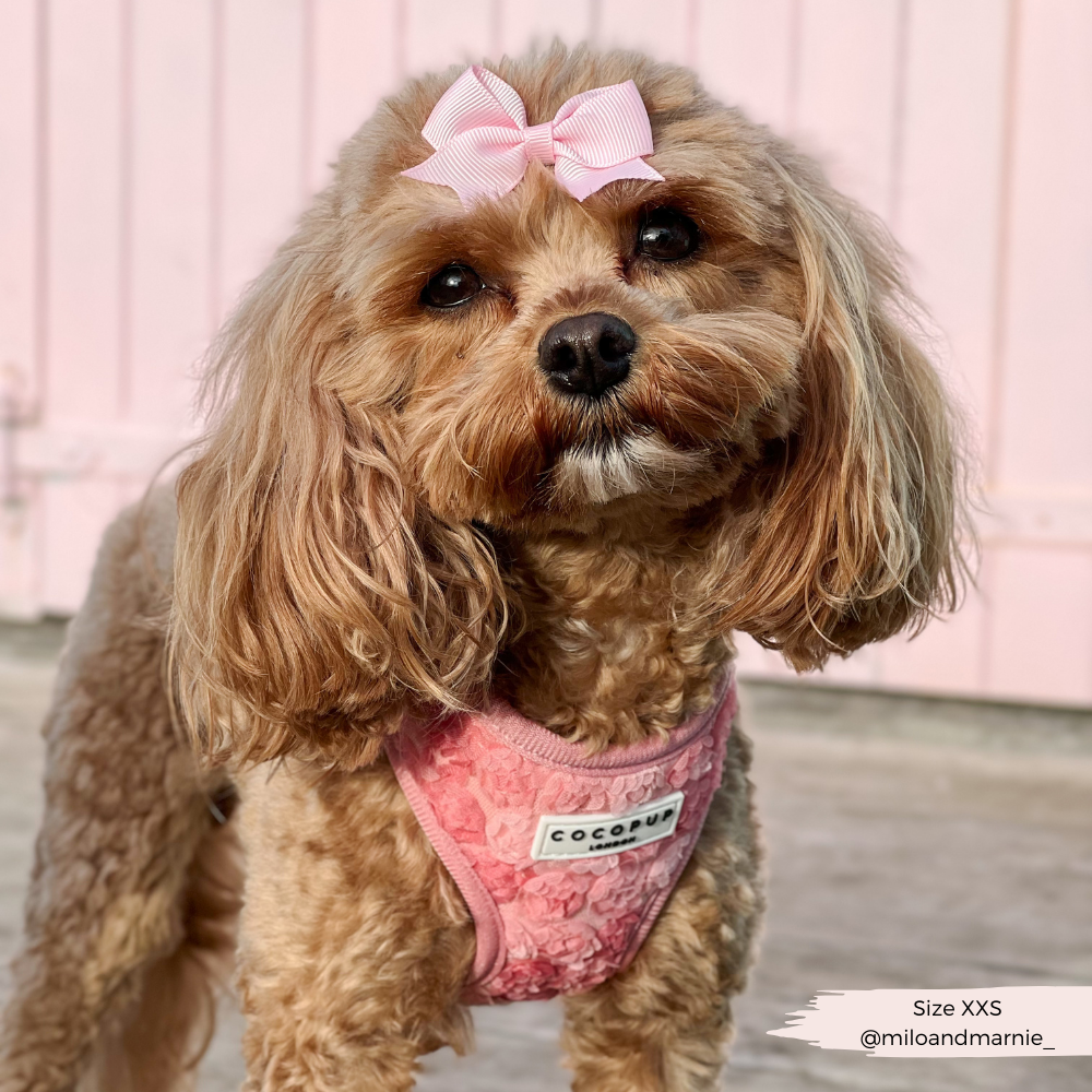 Harnais réglable pour cou Peony Pup: M
