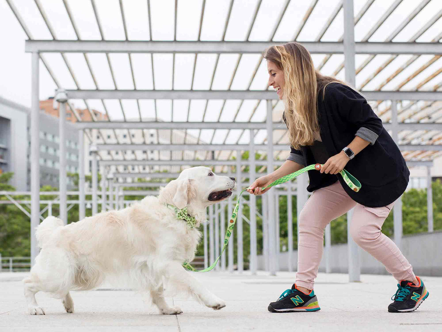 LAISSE POUR CHIEN AVOCAT