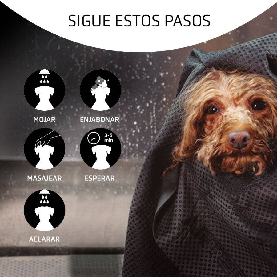 Artero Shampoo Détox Charbon Actif 5L.
