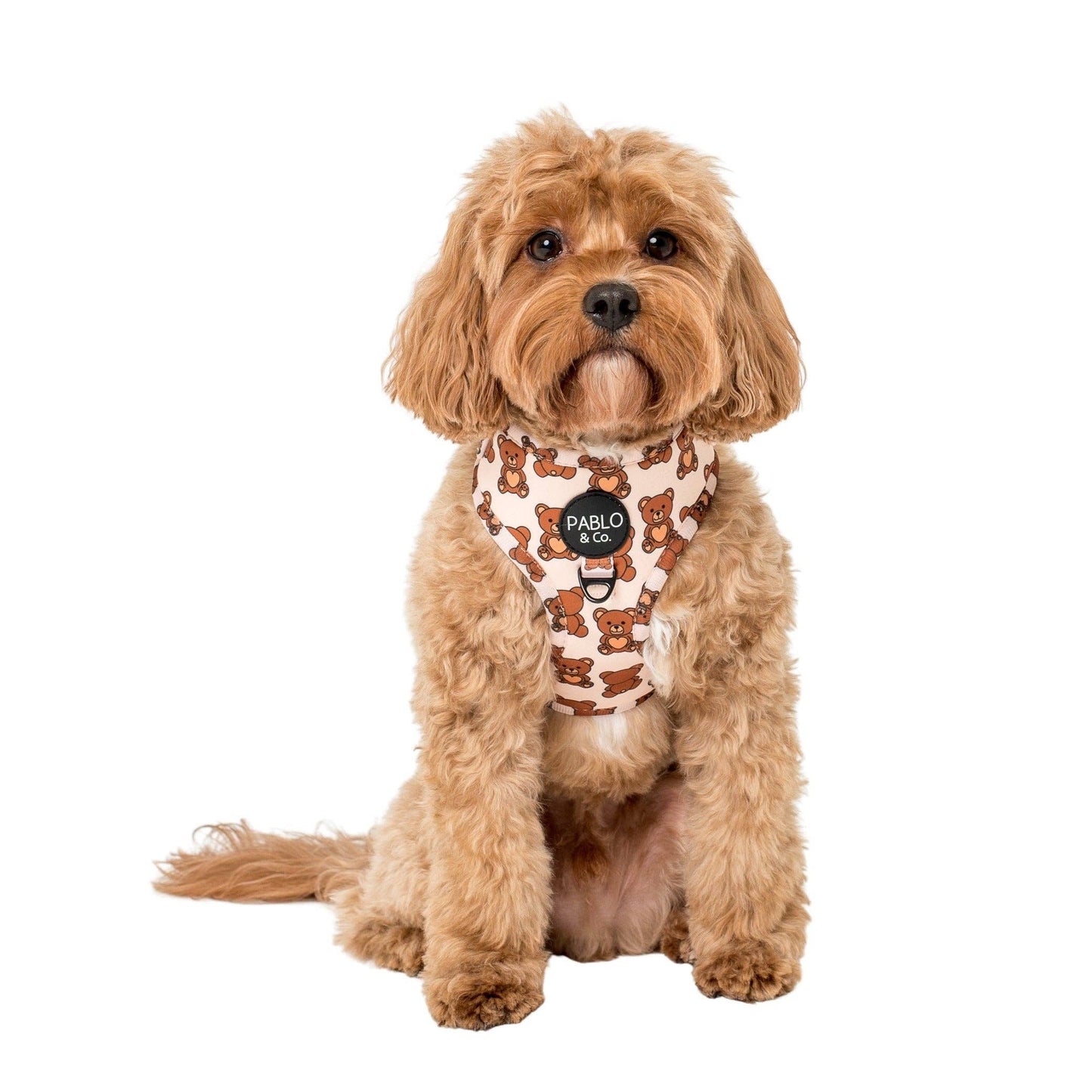 Teddy Bears Picnic : HARNAIS AJUSTABLE POUR CHIEN