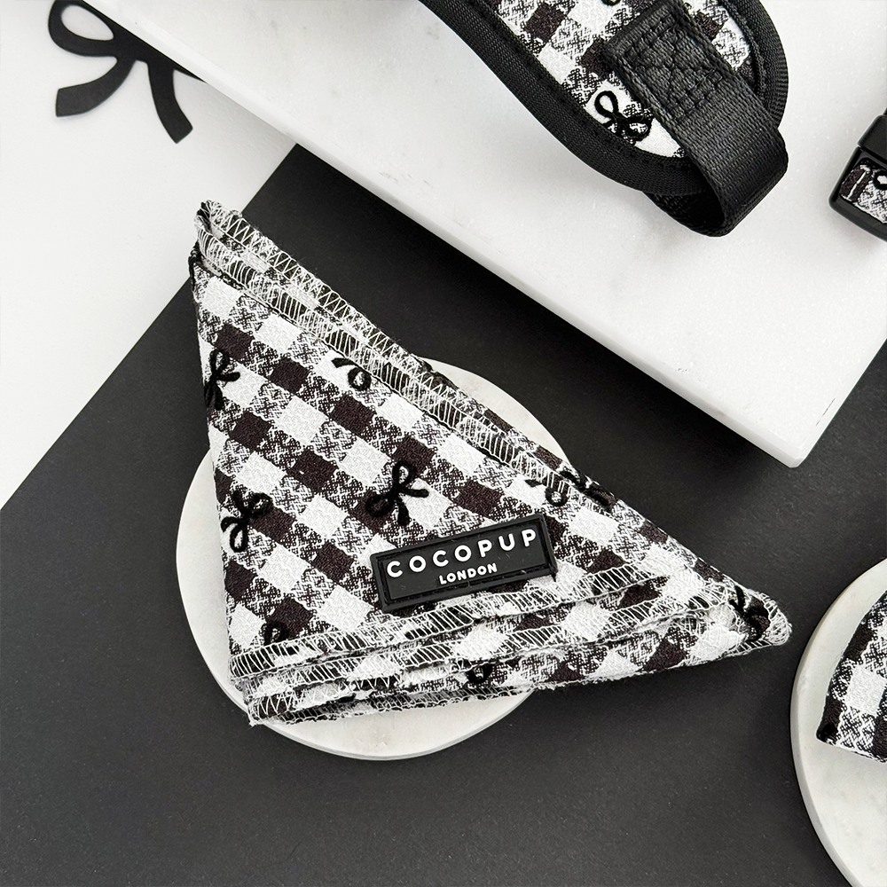 Bandana - Cachorro en París