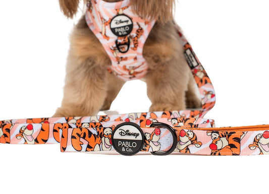 Le tigre unique en son genre : laisse pour chien: 2.5cm
