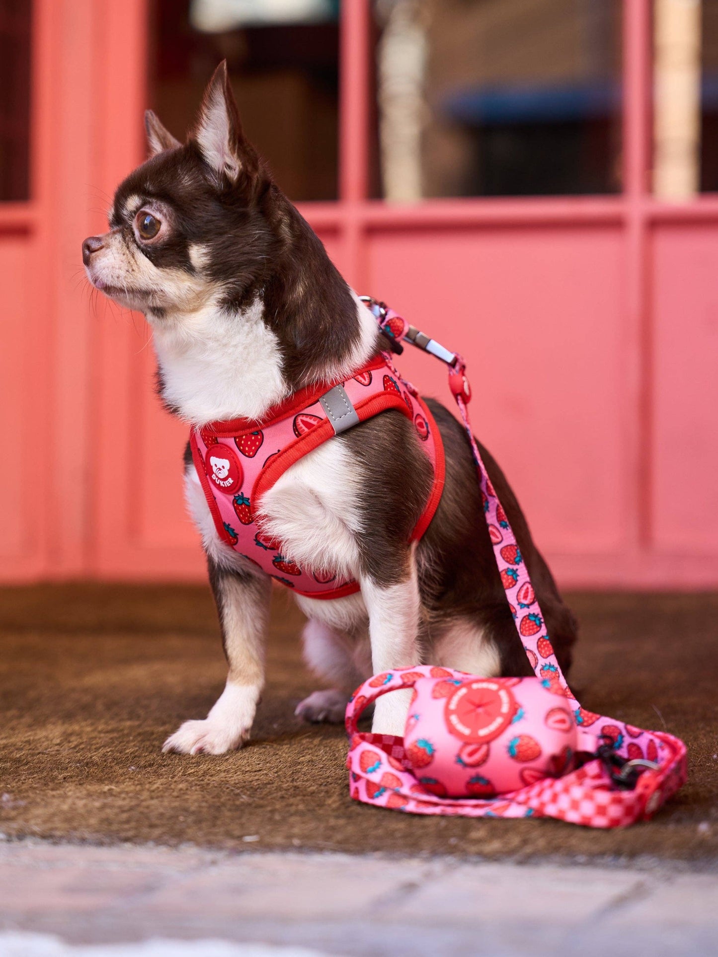HARNAIS BODY CHIEN BERRY LOVE: M