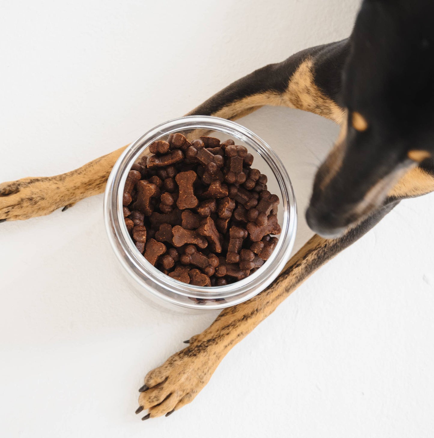 Friandises pour chiens Gizzls Soft Bites "Le Violet" (150g)