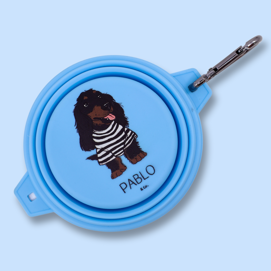 Bol à eau/nourriture pliable pour chien: Lavande