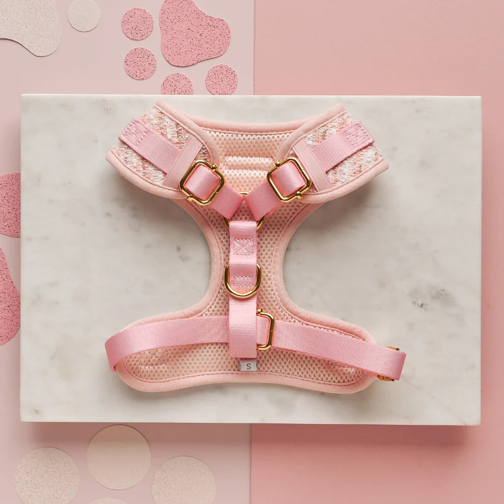Pink Textured Tweed Adjustable Neck HARNESS