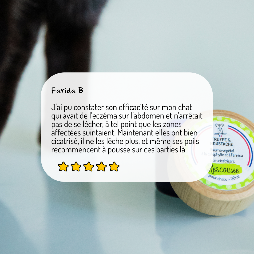 Baume de Soin Cicatrisant pour chat, "Rescousse"