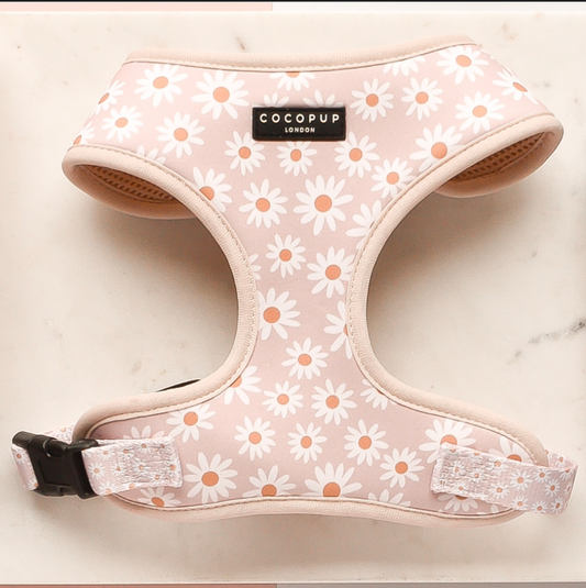 Harnais de cou ajustable Daisy Chain: M