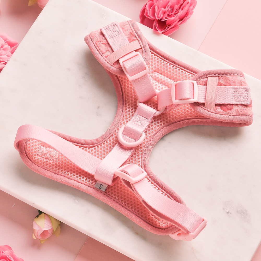 Harnais réglable pour cou Peony Pup: M