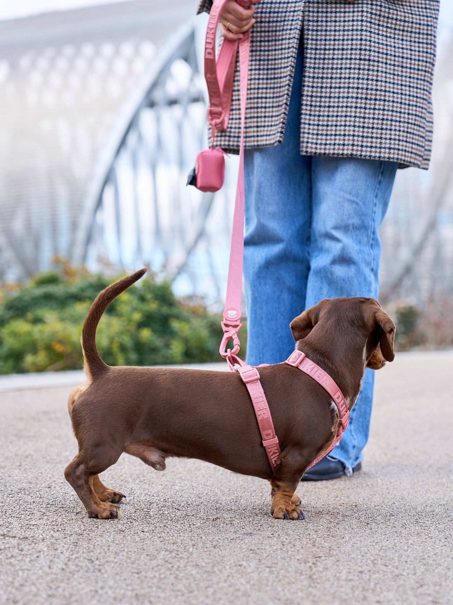 HARNAIS CLASSIQUE POUR CHIEN TERRACOTTA