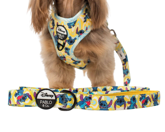 Psychedelic Stitch : laisse pour chien: 2.5cm