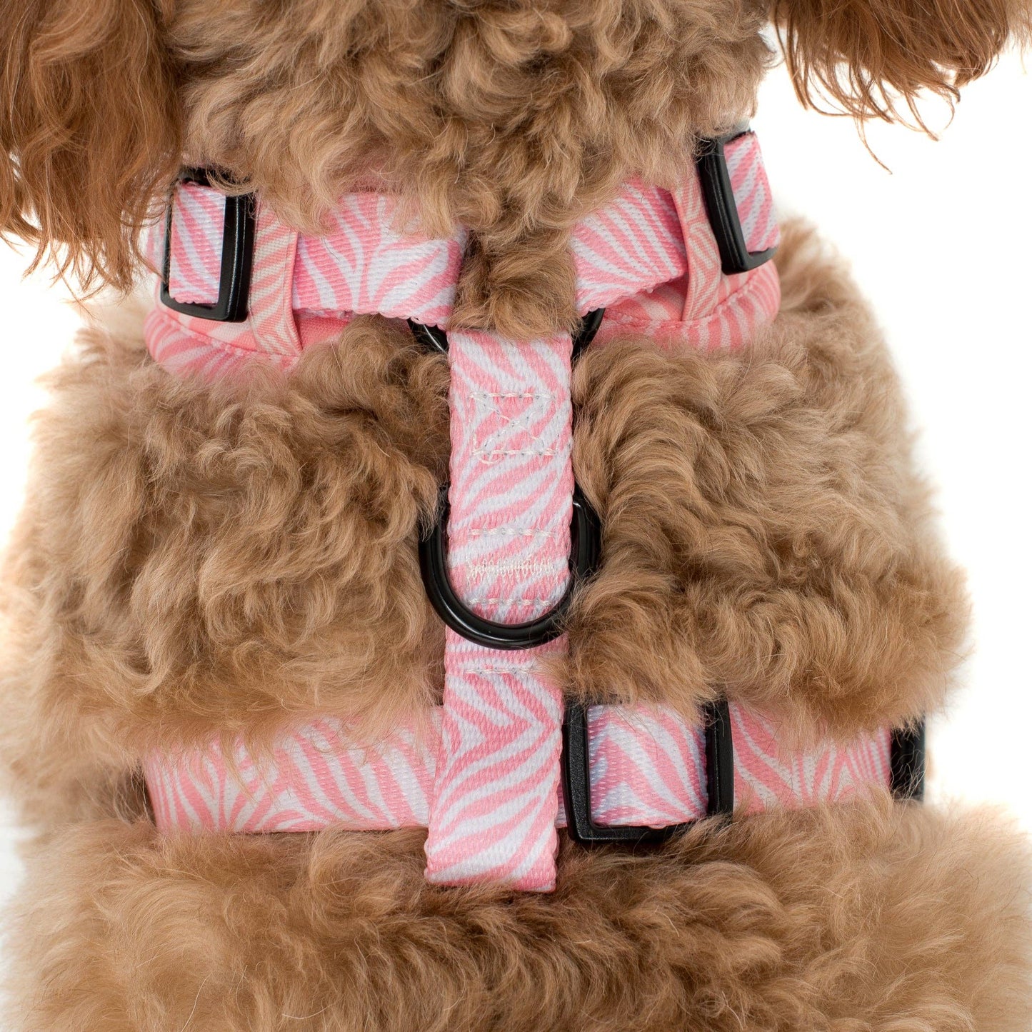 Pink Zebra : HARNAIS AJUSTABLE POUR CHIEN: Moyenne