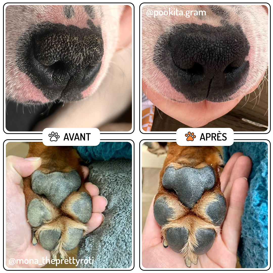 Baume Truffe & Coussinets pour chien & chat, "Velours"