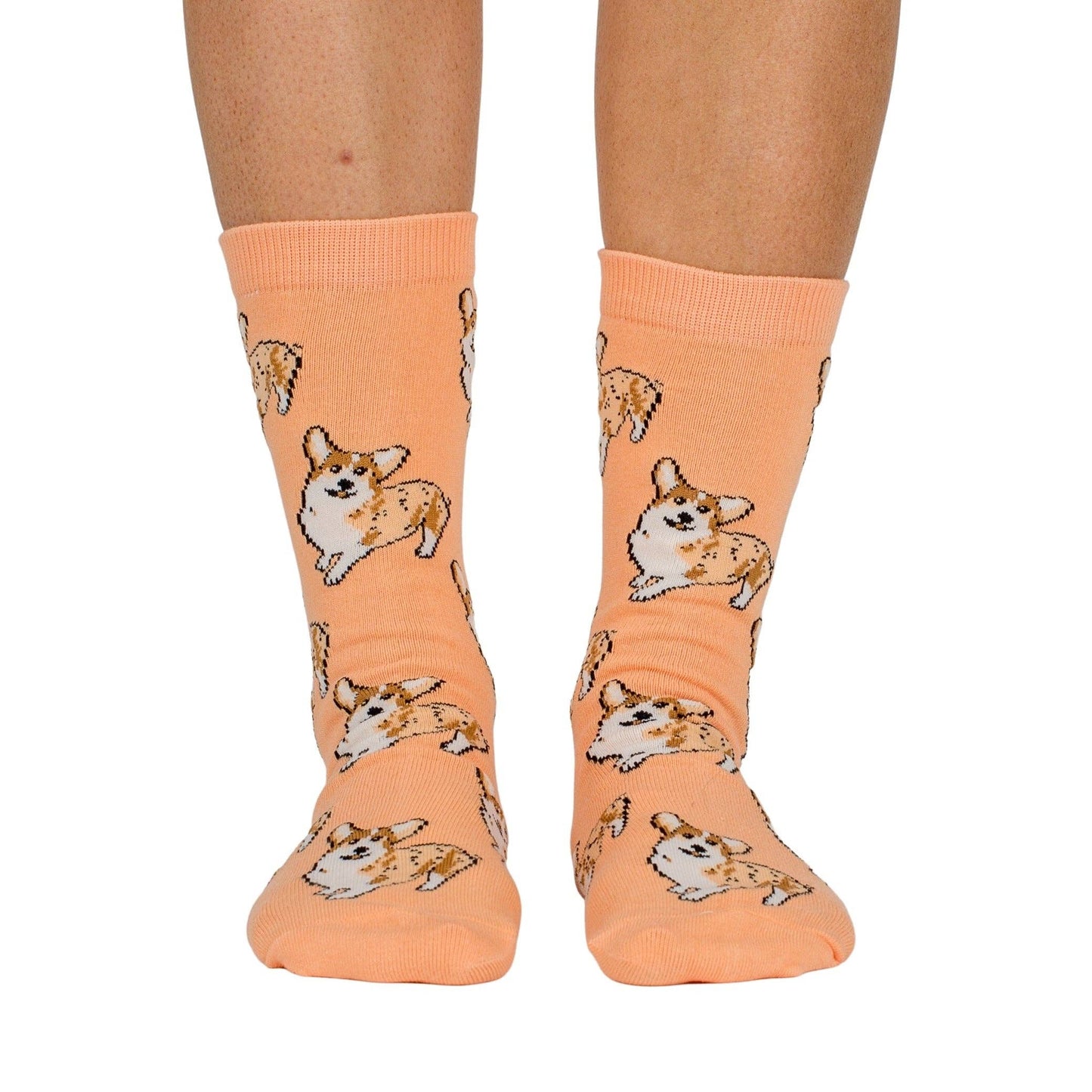 Chaussettes Dog Race: Chihuahua