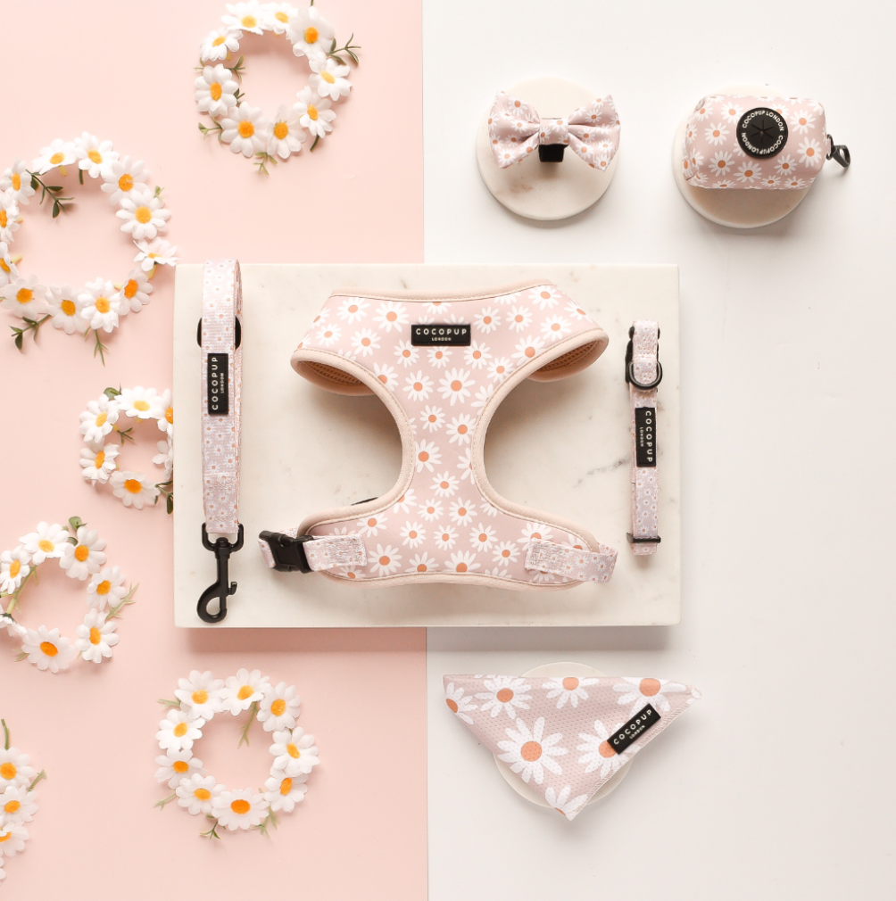 Harnais de cou ajustable Daisy Chain: M