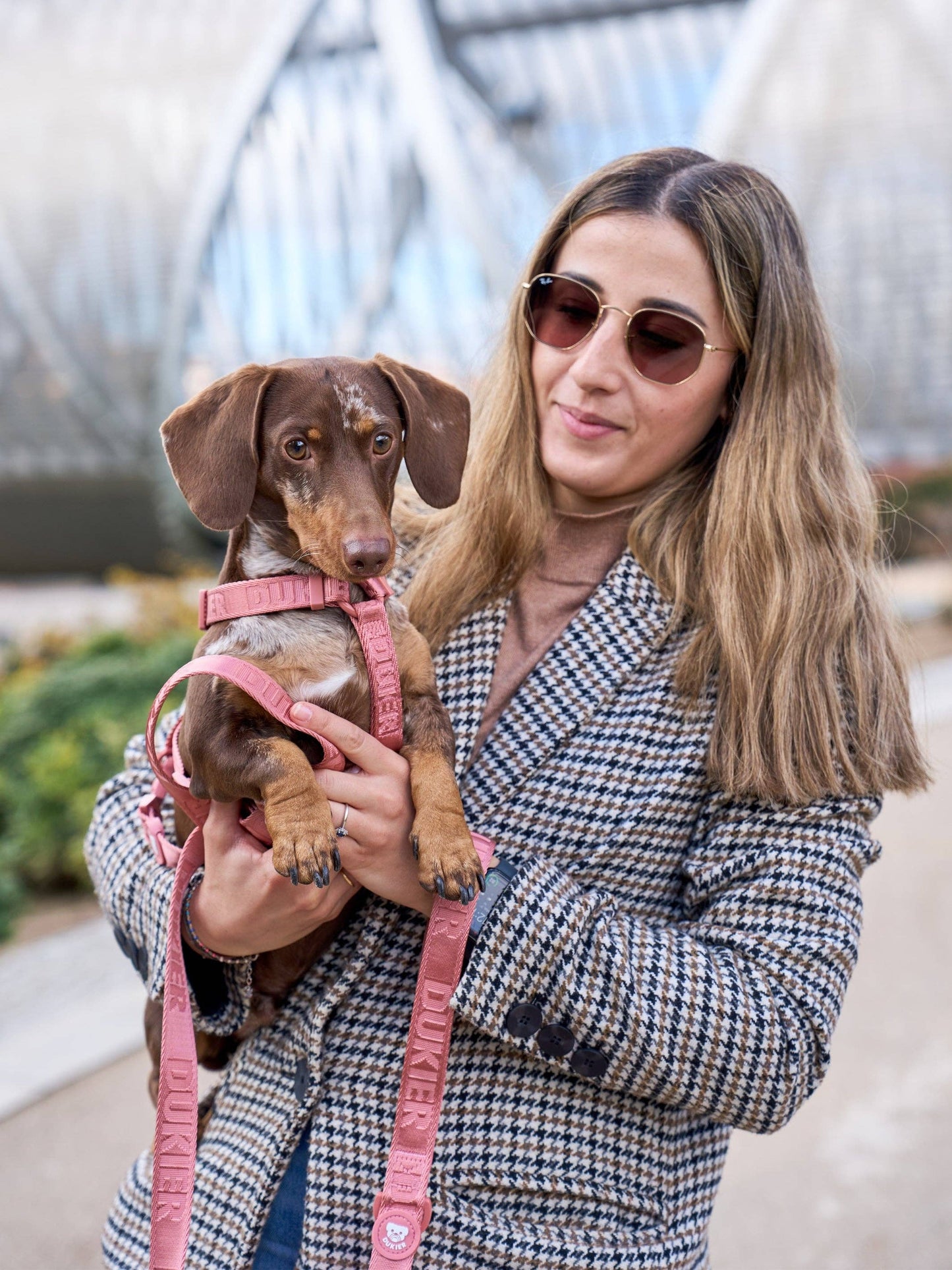 LAISSE POUR CHIEN TERRACOTTA