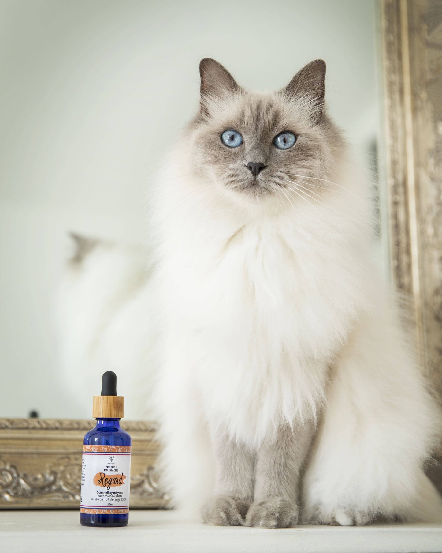 Soin Nettoyant yeux pour chien & chat, "Regard"