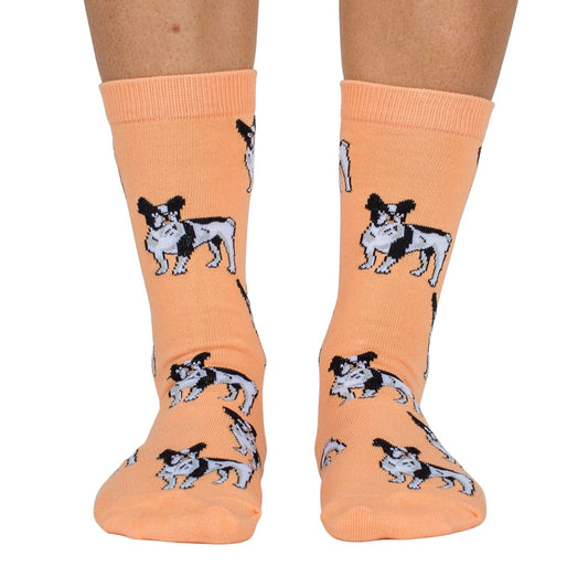 Chaussettes Dog Race: Bouledogue français