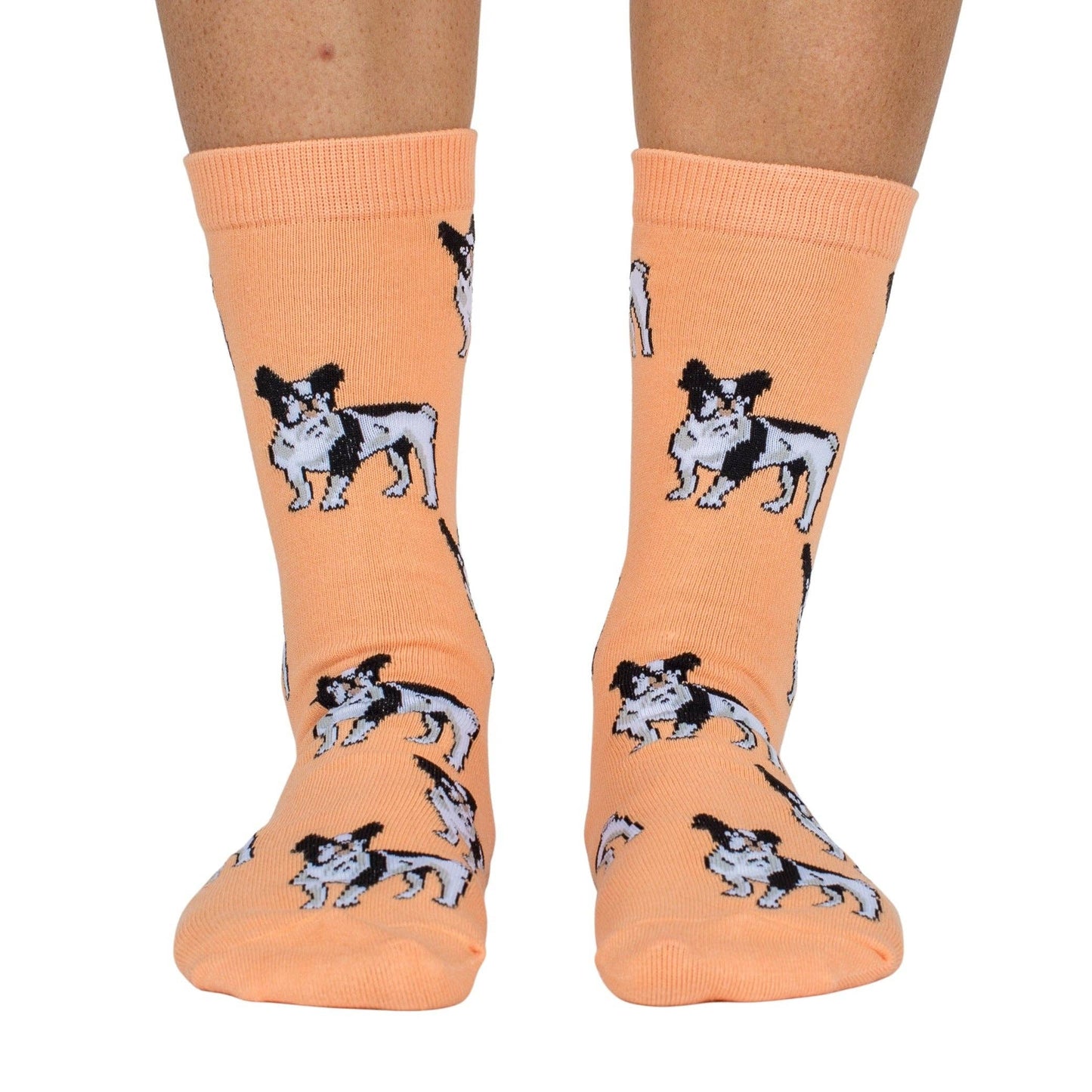 Chaussettes Dog Race: Cocker épagneul