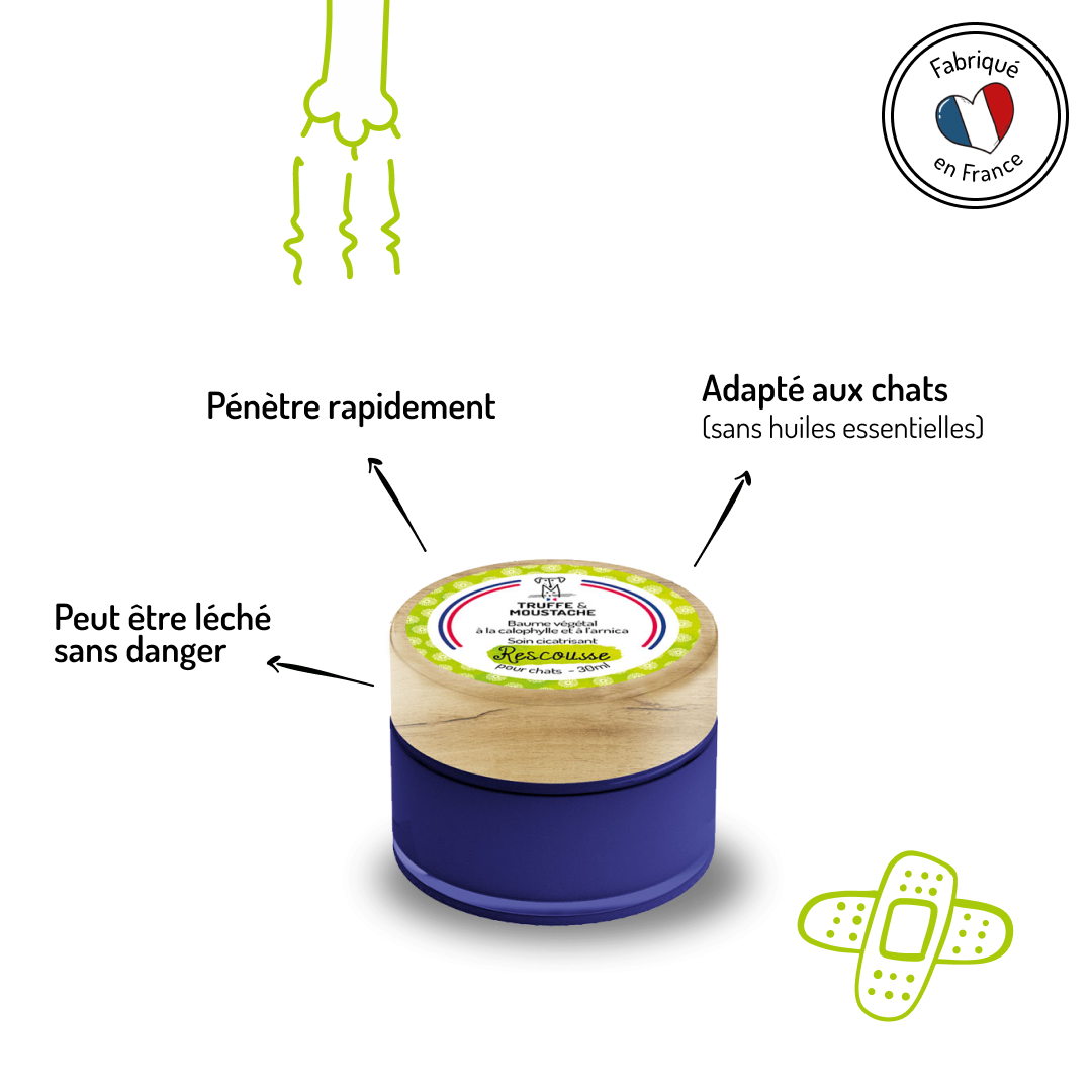 Baume de Soin Cicatrisant pour chat, "Rescousse"