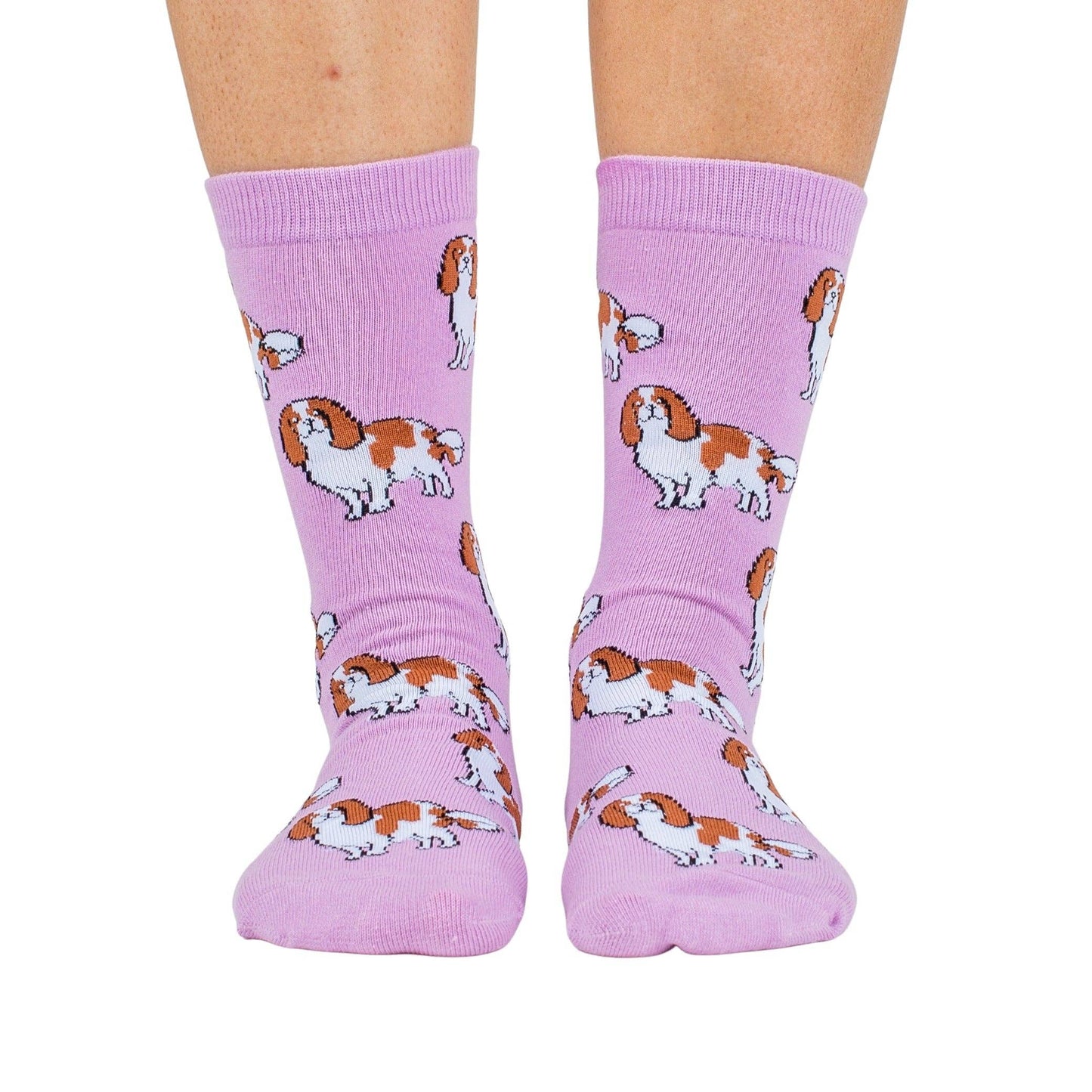 Chaussettes Dog Race: Cocker épagneul