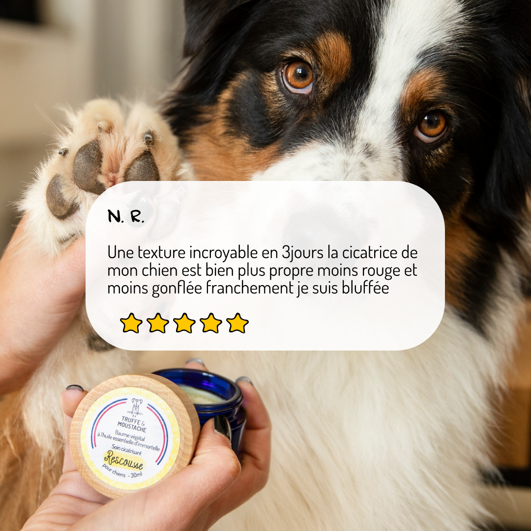 Baume de Soin Cicatrisant pour chien, "Rescousse"