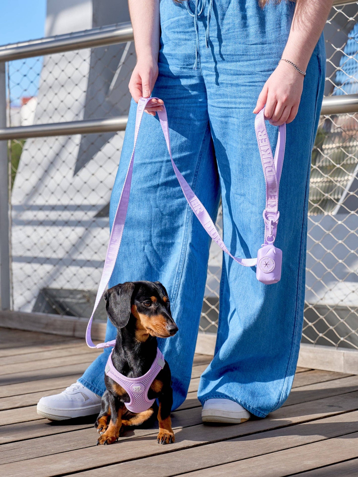 LAISSE POUR CHIEN VIOLETTE