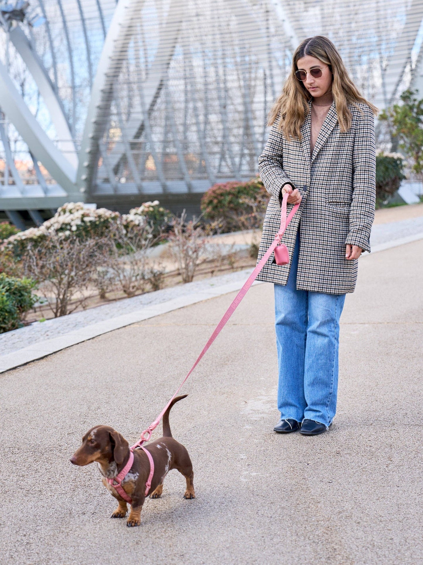 HARNAIS CLASSIQUE POUR CHIEN TERRACOTTA