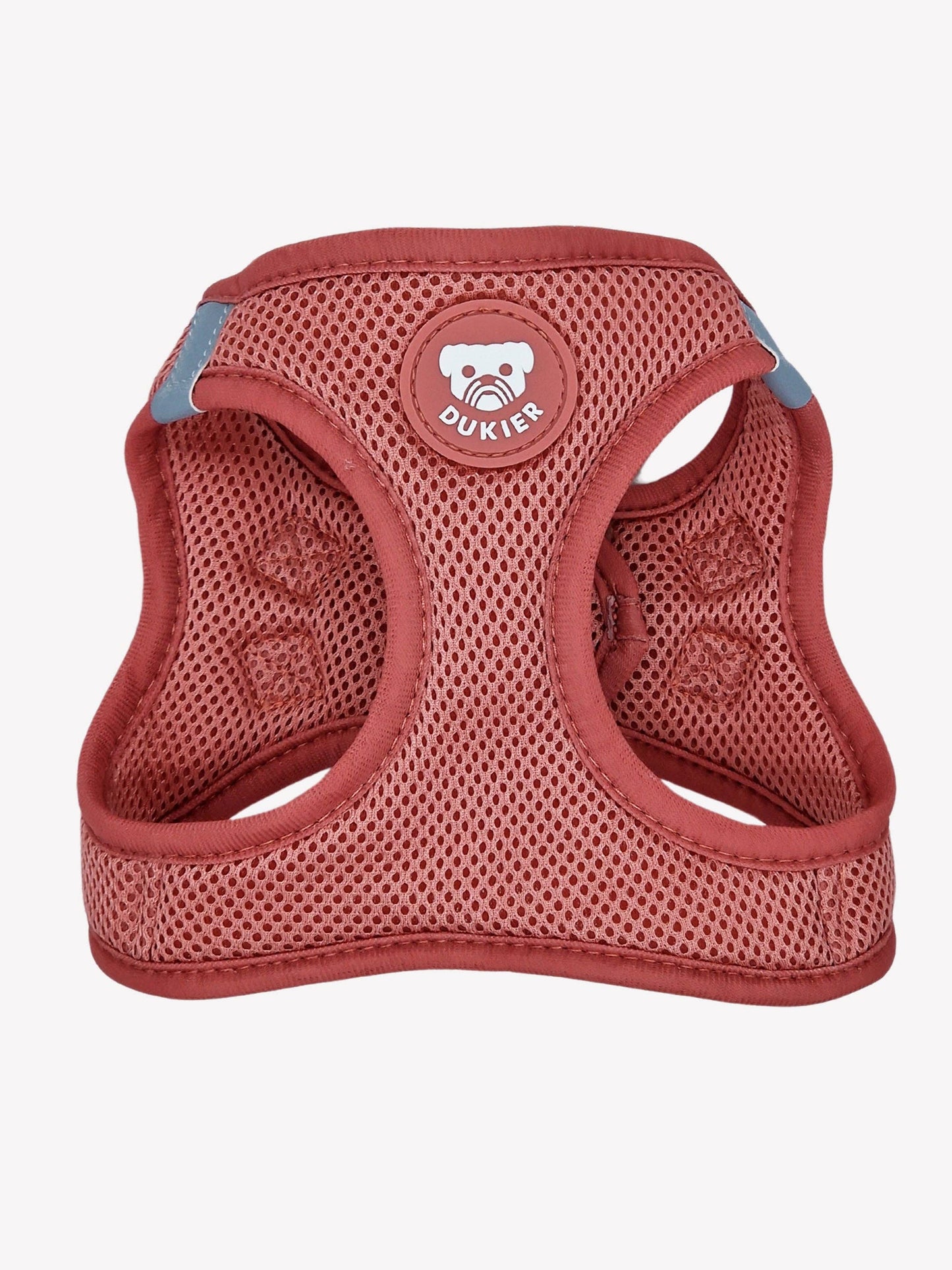 HARNAIS BODY CHIEN TERRACOTTA: S