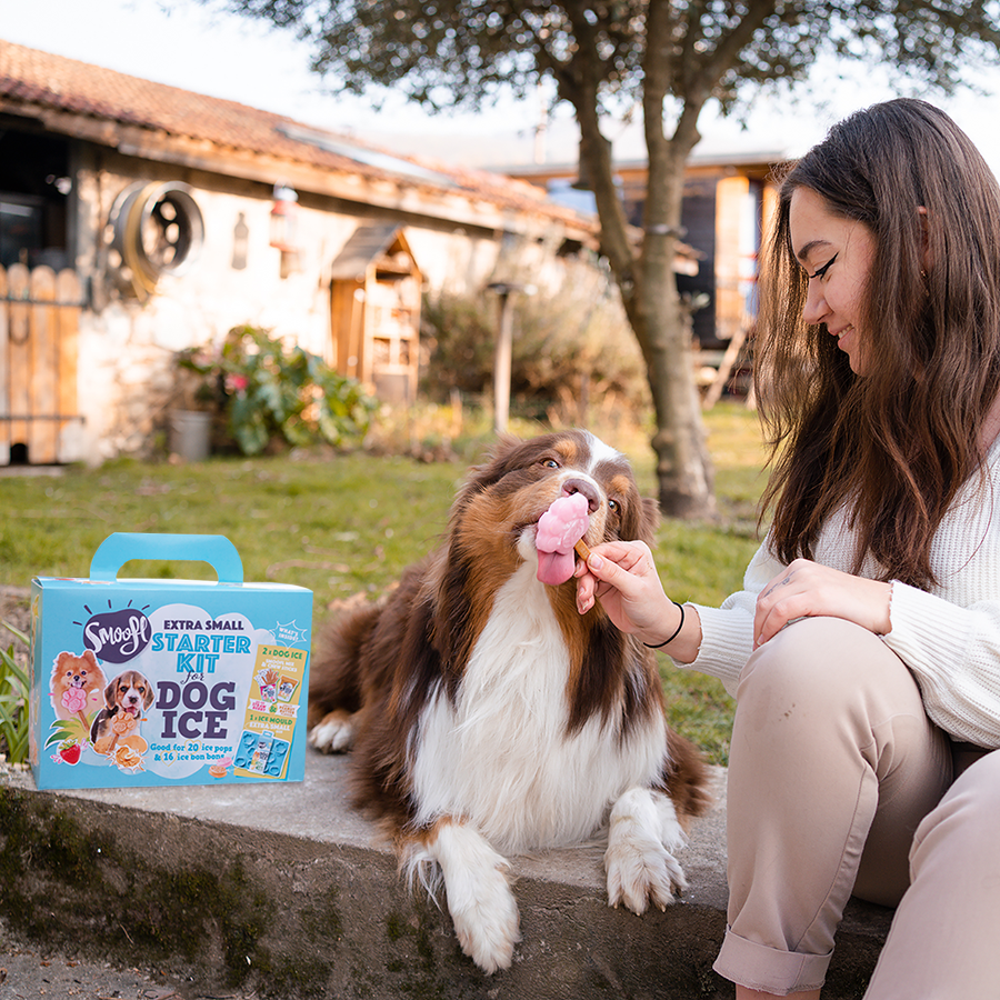 Kit de démarrage extra petit pour glace pour chien