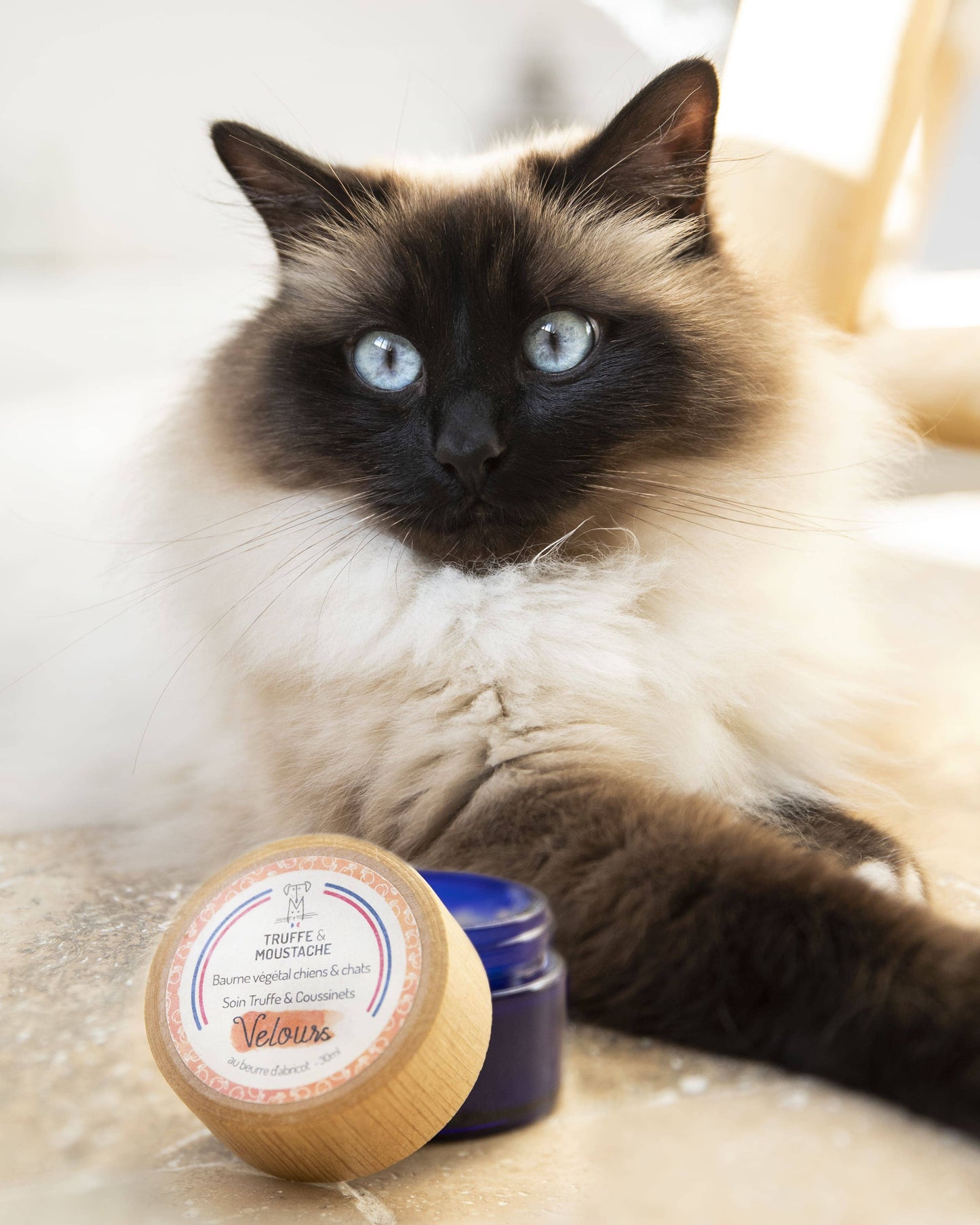 Baume Truffe & Coussinets pour chien & chat, "Velours"