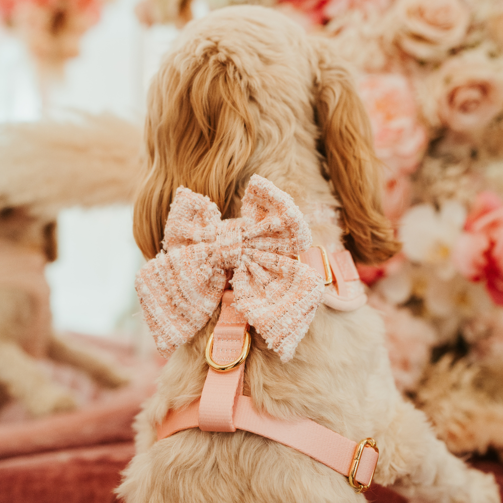 Nœud Papillon Marin en Tweed Texturé Rose