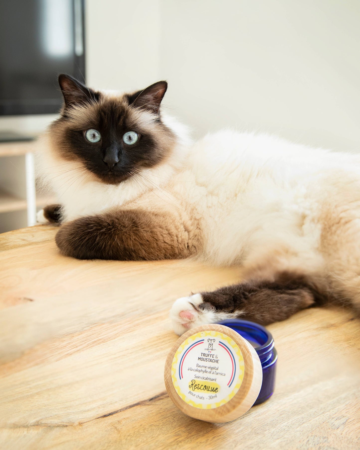 Baume de Soin Cicatrisant pour chat, "Rescousse"