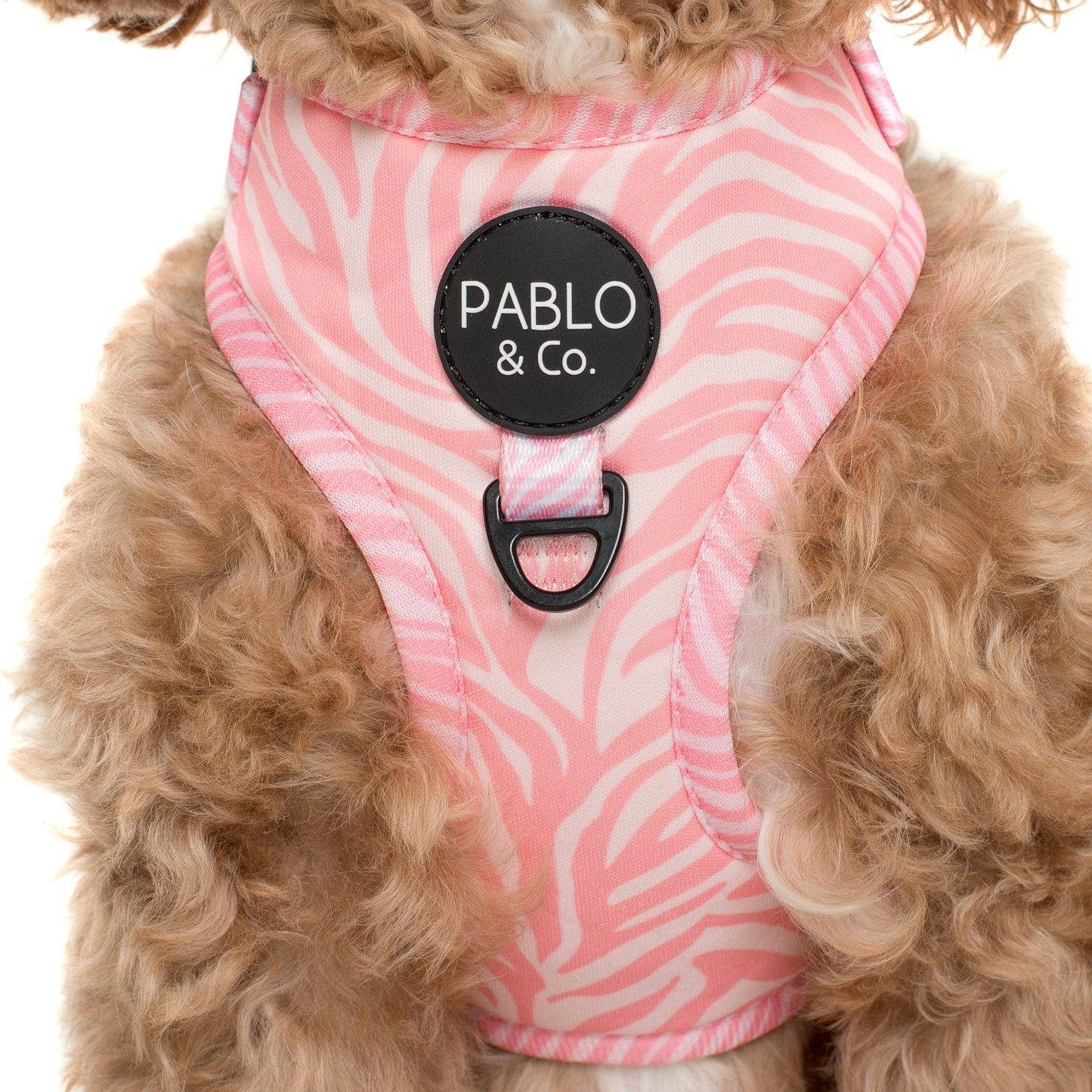 Pink Zebra : HARNAIS AJUSTABLE POUR CHIEN: Moyenne