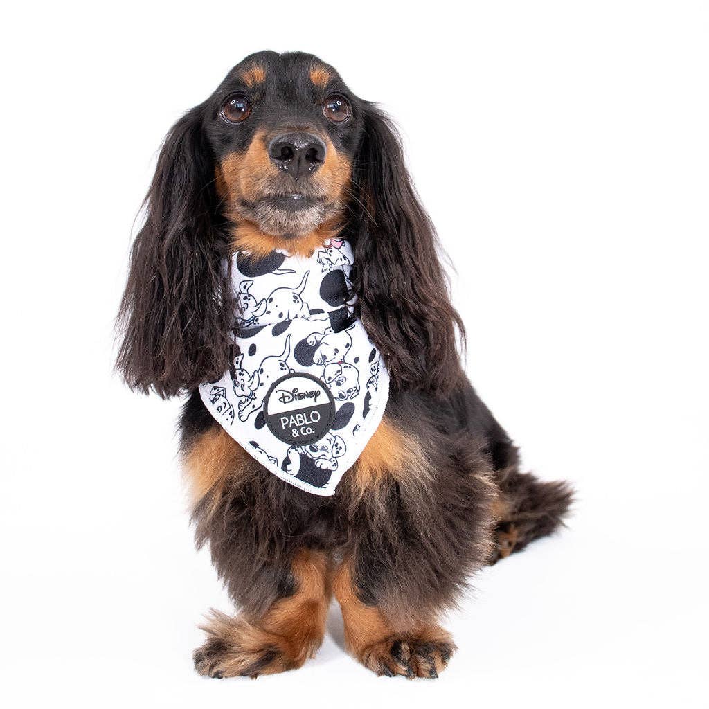 101 Dalmatiens : Bandana pour chien