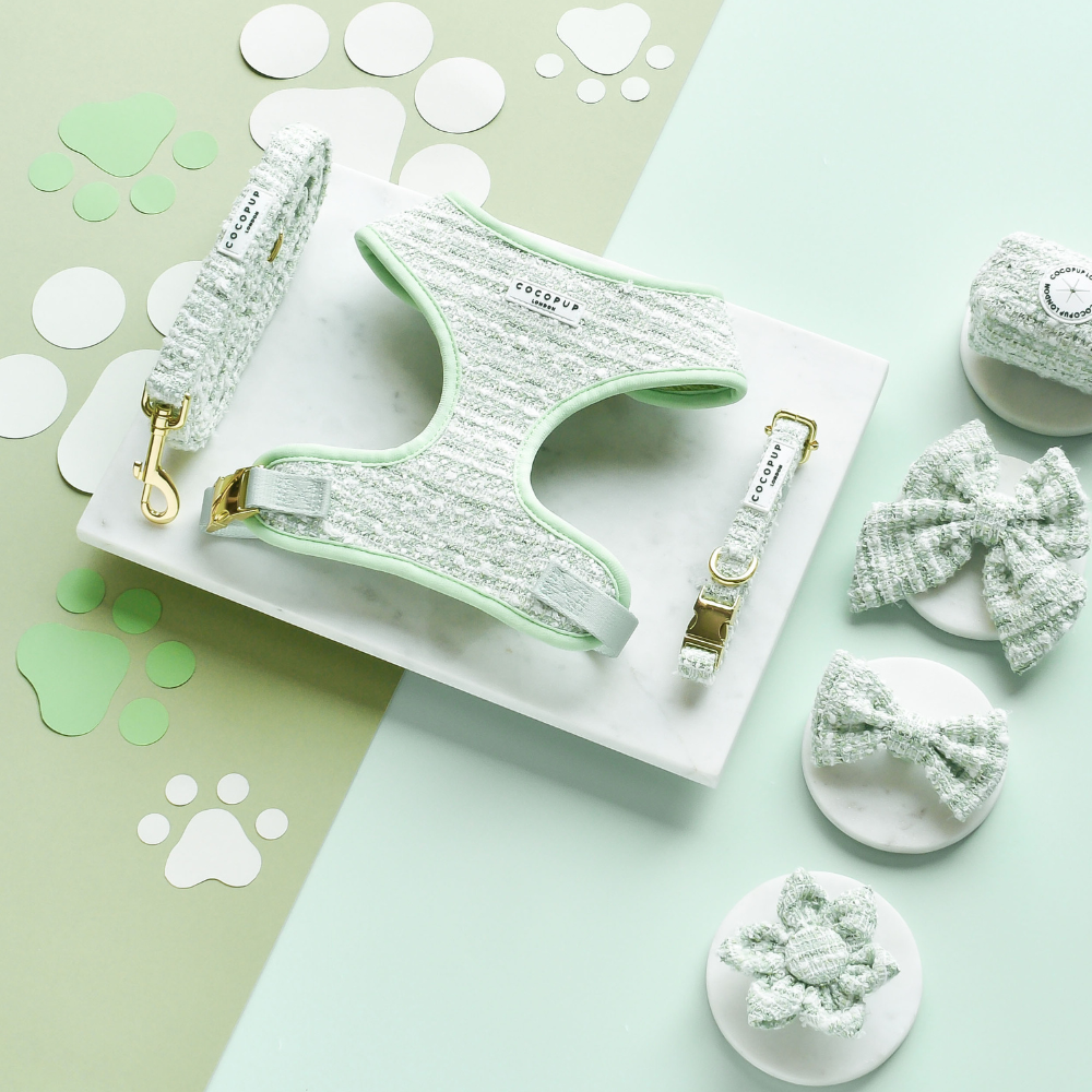 Nœud papillon marin en tweed texturé matcha