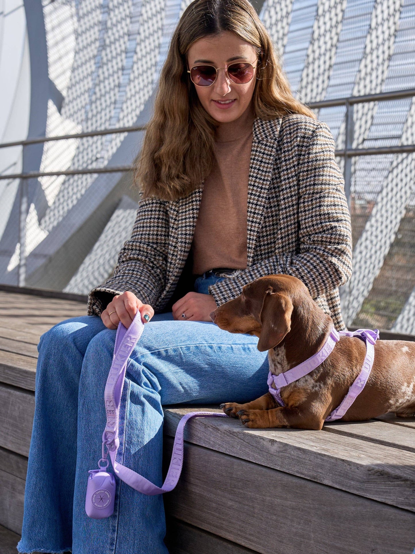LAISSE POUR CHIEN VIOLETTE