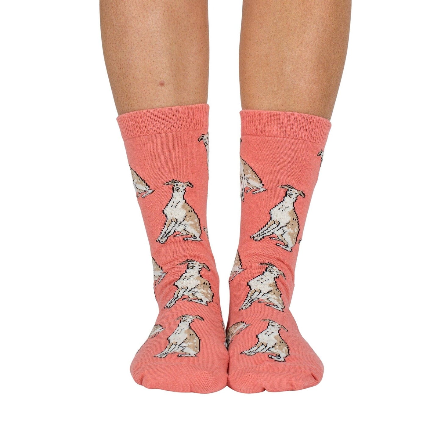 Chaussettes Dog Race: Bouledogue français