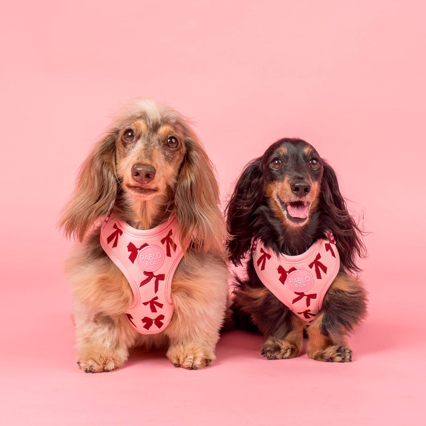 Harnais pour chien réglable : Nœuds en velours rose: XS