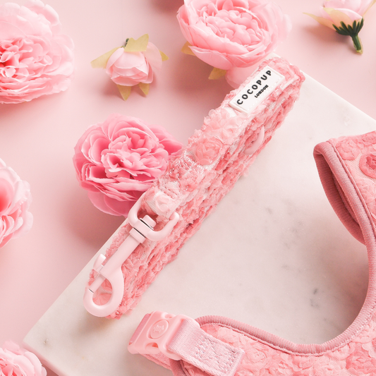 Plomb pour chiot pivoine