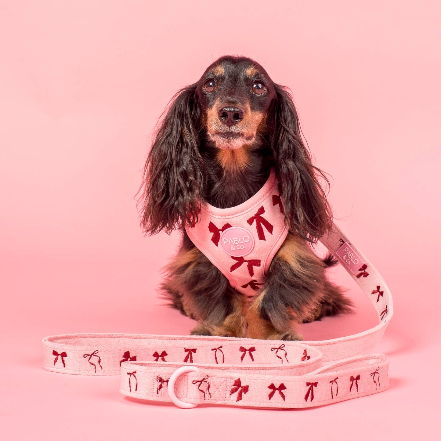 Laisse pour chien : Nœuds en velours blush: 1,5 cm