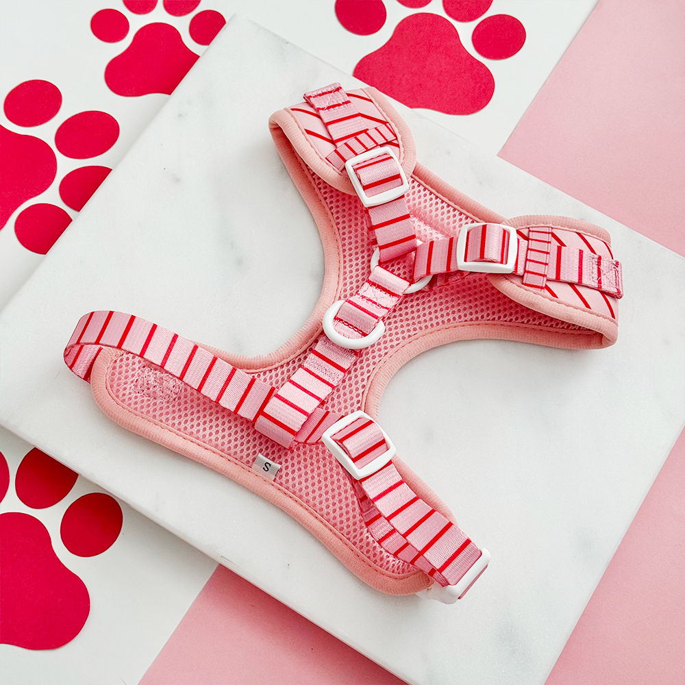 Arnés de Cuello Ajustable a Rayas de Caramelo: S